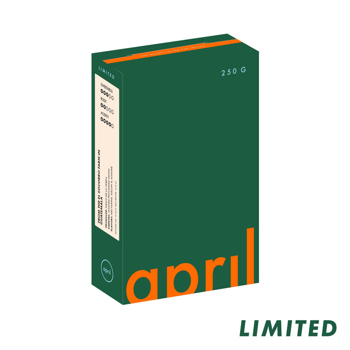 El Socorro - Guatemala - Washed Gesha